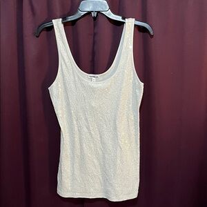Express Shimmering Silver Tank Top